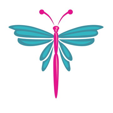 dragonfly on white background