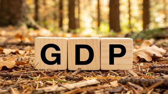 Wooden blocks spelling GDP on a forest floor with dry leaves and twigs