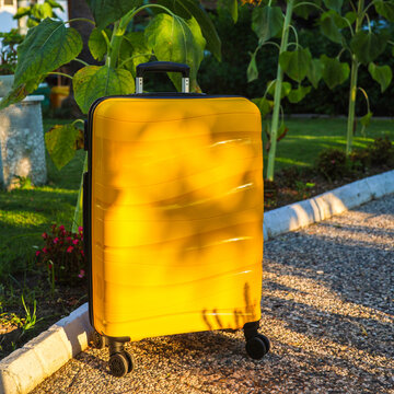 Yellow suitcase on a tropical garden path surrounded by lush green vegetation exotic plants, travel and vacation concept paradise setting.