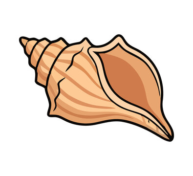 Seashell vector illustration, flat conch shell icon design