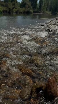 Shallow River Water Rushing Over Sunlit Rocks