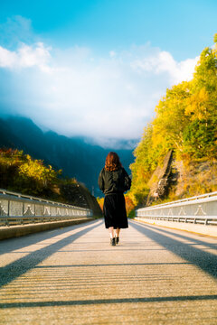 Person walking along a tree-lined country road in autumn