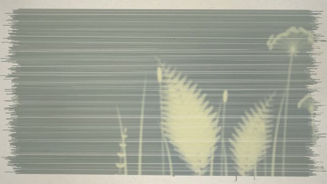 Cyanotype Botanical Print Developing Reveal Animation