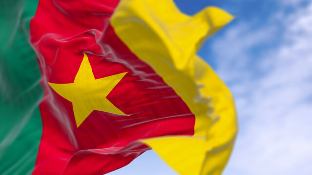 Cameroon national flag waving in the wind