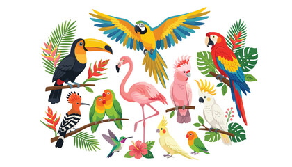 Fototapeta premium Vibrant tropical birds collection featuring colorful cartoon parrot macaw toucan flamingo and cockatoo vector illustration set