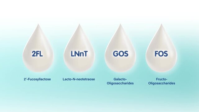 Functional milk components 2FL LNnT GOS and FOS human milk oligosaccharide prebiotic nutrition supporting infant gut health, immune development digestion, microbiome balance healthy early life growth.