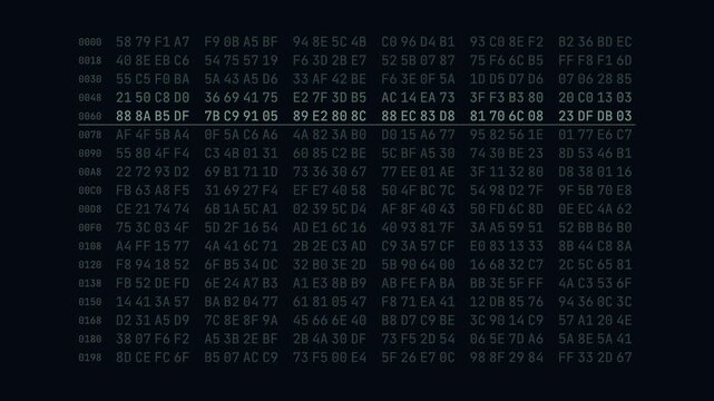 Abstract digital hex dump binary code field scrolling on a dark screen for cybersecurity and programming concepts.