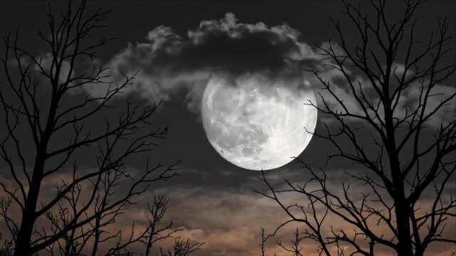 Spooky Halloween Background Featuring Glowing Full Moon Behind Twisted Bare Tree Branch Silhouette, Drifting Dark Cloud Formations Across Atmospheric Night Sky, Eerie Forest Scene for Seasonal Design