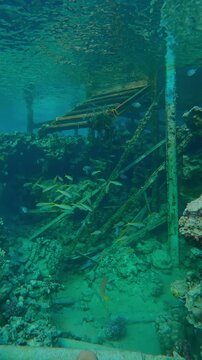 Vertical footage, Approaching to dilapidated old pier with a gangway on top of a reef crest, many colorful tropical fish are hiding under the walkway. 
