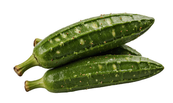 Gourd Luffa Vegetable pile of fresh green ridge gourds isolated on a transparent background for healthy cooking