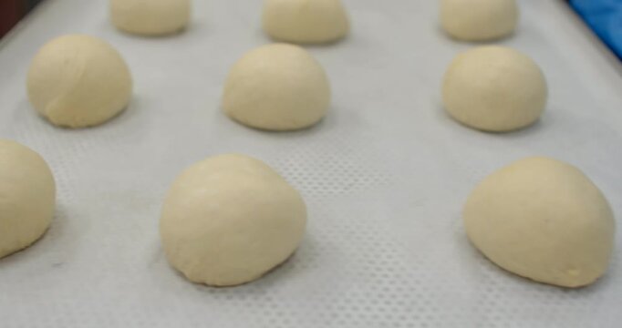 rows of smooth rounded dough balls on parchment-lined baking tray in quiet bakery prep scene, soft diffused light highlighting beige domes and textures up close