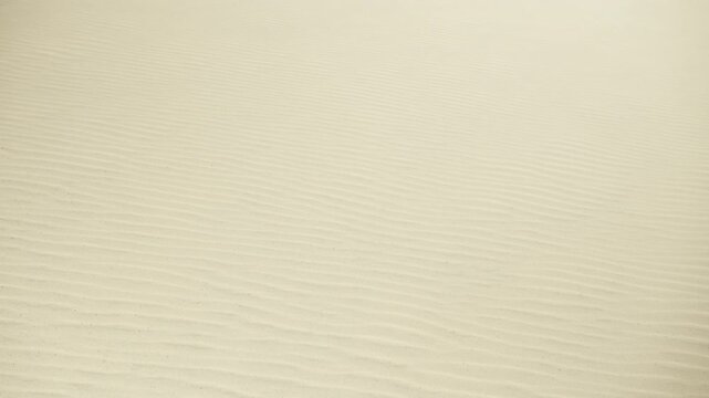 Gentle camera movement over wind-blown ripples in soft desert sand showing delicate texture and natural patterns