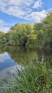 A beautiful Morning View of Iremongers Pond Nature Reserve in Wilford, Nottingham, England
