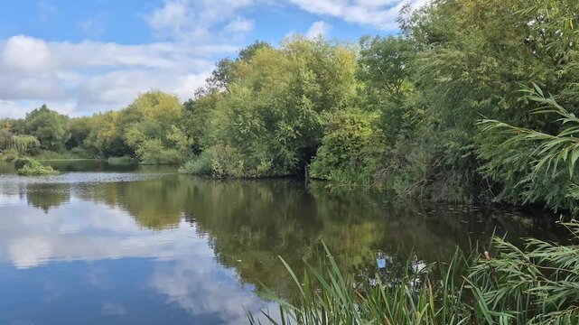 A beautiful Morning View of Iremongers Pond Nature Reserve in Wilford, Nottingham, England