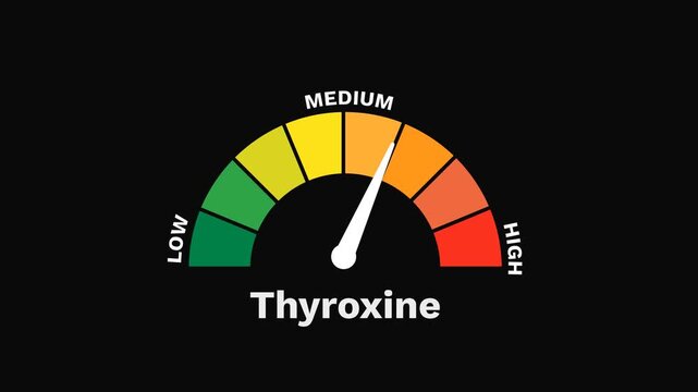 Thyroxine Level Gauge Increasing and Decreasing Indicating Metabolic Activity Animation
