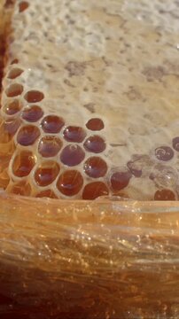 macro close-up shows open and capped hexagonal honey cells partially filled with glossy amber, with honeycomb, honey, wax, cell detail, showing hexagon, amber
