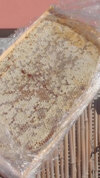 gloved hands lift and tilt rectangular honeycomb panel wrapped in glossy clear plastic, showing hexagonal wax cells and warm amber nectar in sun soft highlights
