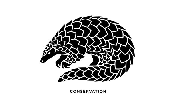 Detailed illustration of a curled pangolin with the word conservation below it