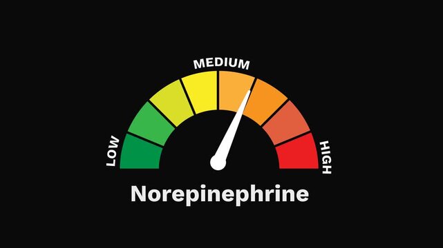 Norepinephrine Level Gauge Increasing and Decreasing, Alertness and Stress Response 2D Motion Graphic