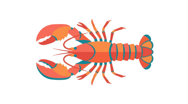 Stylized lobster vector illustration on white background