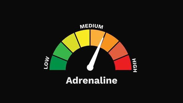 Adrenaline Level Gauge Increasing and Decreasing Indicating Excitement, Tension, Anxiety, and Emotional Response 2D Motion Graphic