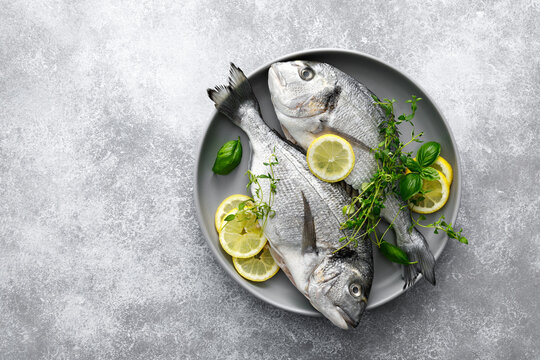 Fish raw dorado sea bream with lemon slices and herbs
