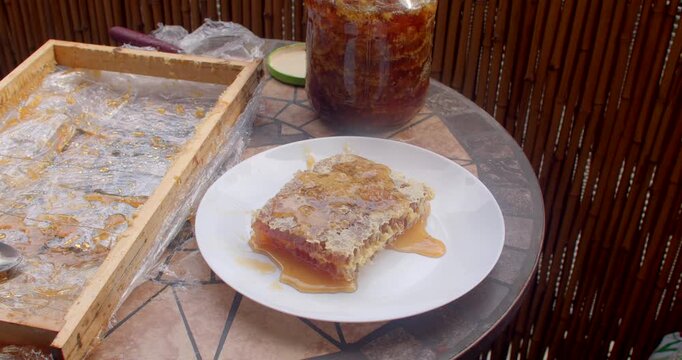 close-up view of honeycomb section on white plate as honey pours and glistens, amber drips spreading across tiled balcony table in outdoor light warm sunshine