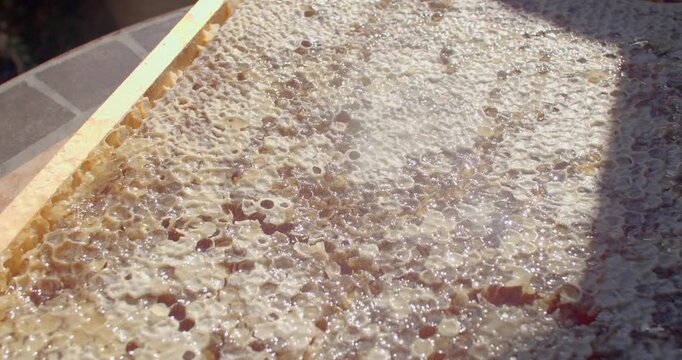 close-up view of honeycomb cells with capped wax and thick honey pooled in cell openings, sunlight creates bright highlights and deep shadow contrast on wood