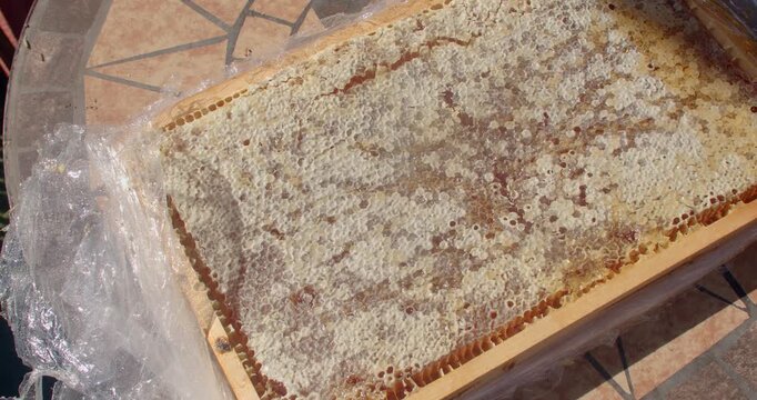 sunlit honeycomb tray showing capped wax cells with glossy amber honey drips and pools, with honeycomb, honey, wax, beekeeping detail, showing harvest, amber