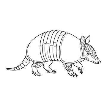 Walking nine-banded armadillo with armored shell plates and digging claws line art vector illustration isolated on white background.