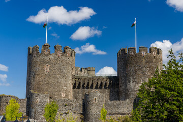 Stone towers and battlements of Conwy Castle flying Welsh flags, medieval fortress walls against bright blue summer sky, North Wales © whitcomberd