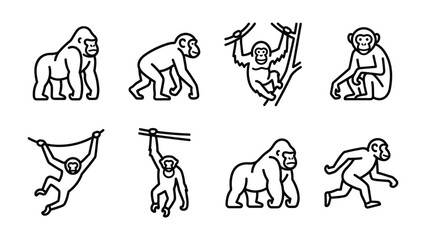 Fototapeta premium Monkeys and Gorilla Set: A collection of outline illustrations depicting various monkeys and a gorilla in different poses, showing their dynamic movements and arboreal lifestyle.