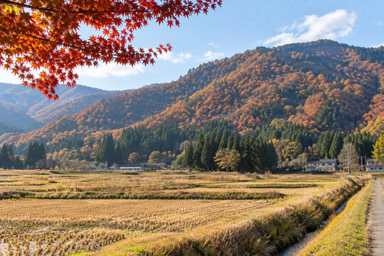 里山の風景」の写真素材 | 41,586件の無料イラスト画像 | Adobe Stock