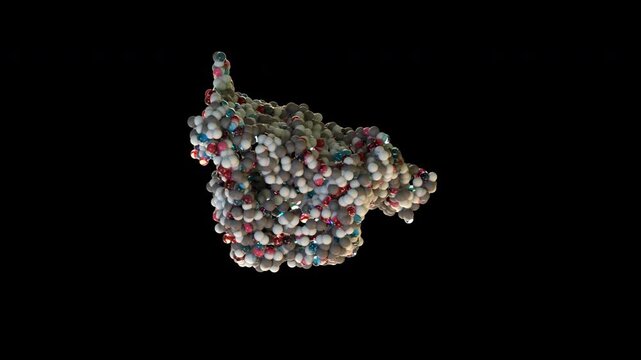 Erythropoietin EPO Hormone Molecule 3D Animation Rotating Red Blood Cell Hormone