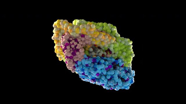 Cortisol Hormone Molecule 3D Animation Rotating Scientific Medical Visualization