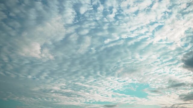 雨上がりの空」の写真素材 | 7,081件の無料イラスト画像 | Adobe Stock