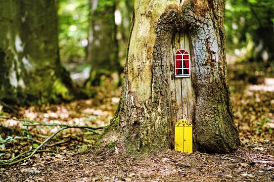 Tiny forest fairy house in a tree stump, Ihlow Forest near Aurich, Lower Saxony, Germany