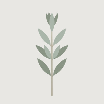 Mugwort or sage branch with soft dusty silver-green lanceolate leaves on a beige stem over a light grey background.