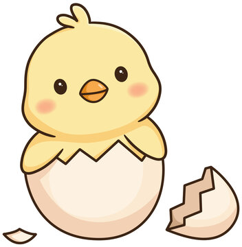 Cute little baby chick hatching from an egg cartoon illustration isolated