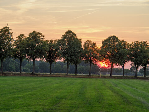 sommerabend im M&uuml;nsteralnd