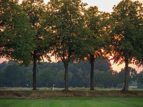 sommerabend im M&uuml;nsteralnd