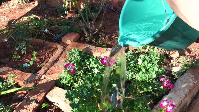 Pessoa regando flores e cuidando do jardim em casa simples no interior do Brasil