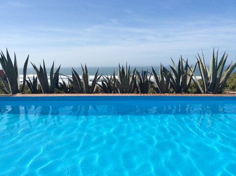 Clear turquoise water in an infinity pool lined with agave plants by the sea, Morocco