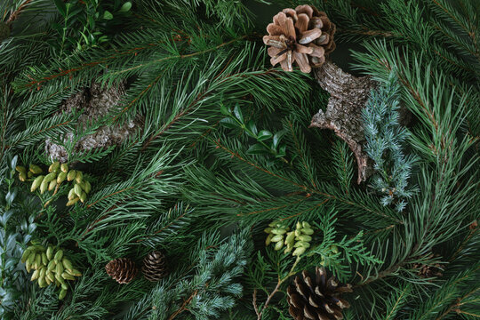Full frame overhead flatlay of assorted winter foliage including evergreen branches, pinecones and tree bark