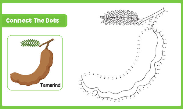 Printable kindergarten activity featuring a tamarind dot to dot puzzle and school education graphic