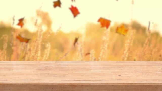 autumn season nature fall table landscape