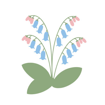 Blue and pink bellflower stalks with arching stems and broad green leaves, vector illustration on a white background.