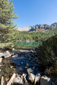Turquoise waters of Lagh da Saoseo in the Engadin Alps surrounded by autumn nature, creating a peaceful, almost surreal scenery symbolizing mindfulness, clarity, letting go and inner calm.