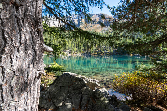 Turquoise waters of Lagh da Saoseo in the Engadin Alps surrounded by autumn nature, creating a peaceful, almost surreal scenery symbolizing mindfulness, clarity, letting go and inner calm.