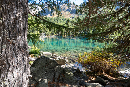Turquoise waters of Lagh da Saoseo in the Engadin Alps surrounded by autumn nature, creating a peaceful, almost surreal scenery symbolizing mindfulness, clarity, letting go and inner calm.